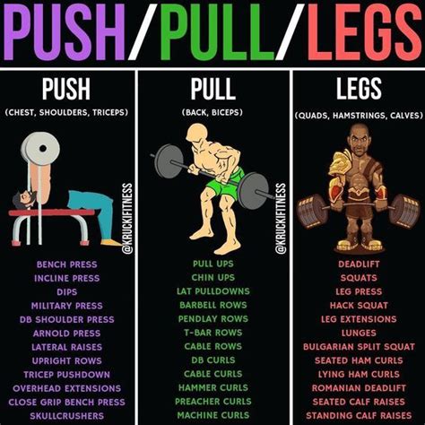 Push Pull Legs Weight Training Workout Schedule For 7 Days Weight Training