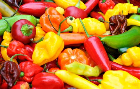types of peppers explained heat levels of different chili peppers thrillist