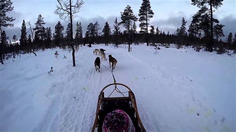 Lapland Husky Ride Youtube