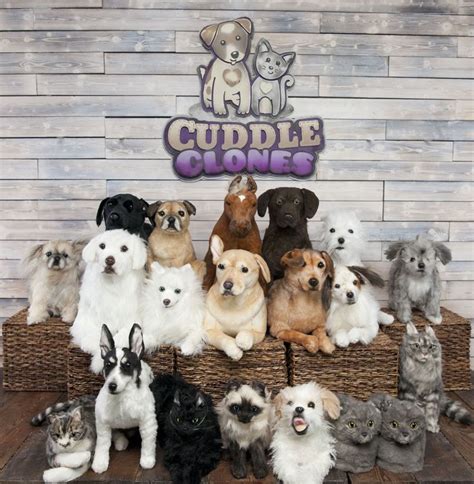 Pin On Cuddle Clones Litter Pics