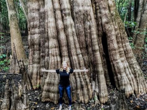 Sky Lake In Mississippi Is Home To Some Of The Worlds Oldest Trees