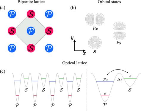 Structure Of The Optical Lattice Potential Visualized In A The