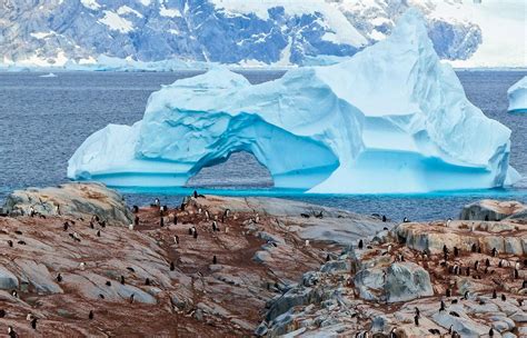 Antarktyda Si Rozpuszcza Zostawione Na Lodzie Czyli Reporta Na