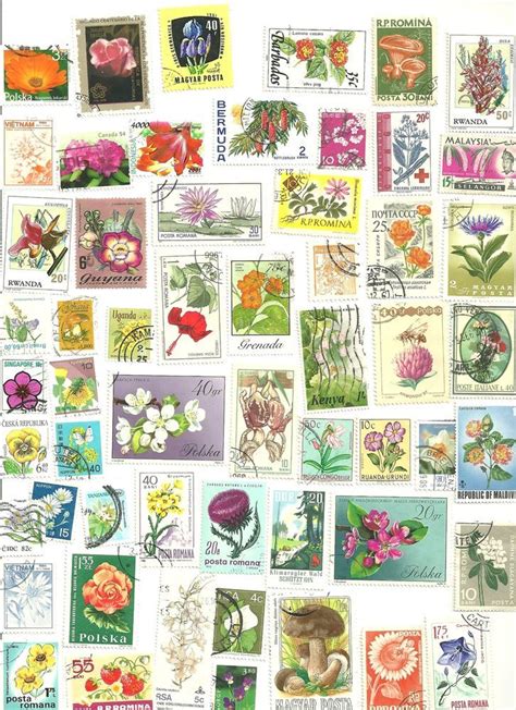 100 Mostly Different Nature And Plants And Flowers Postage Stamps World