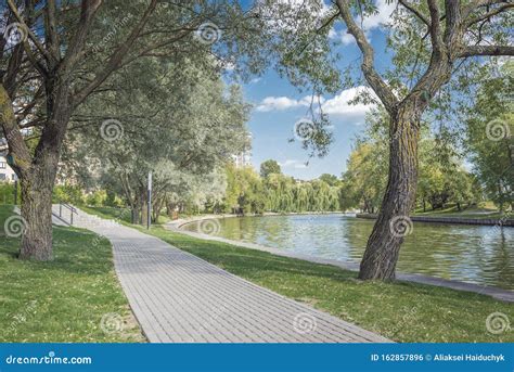River In The City Park Beautiful Landscape Of Summer Trees Along The