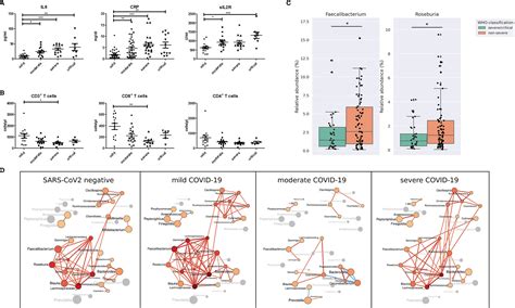 Frontiers A Pro Inflammatory Gut Microbiome Characterizes Sars Cov 2