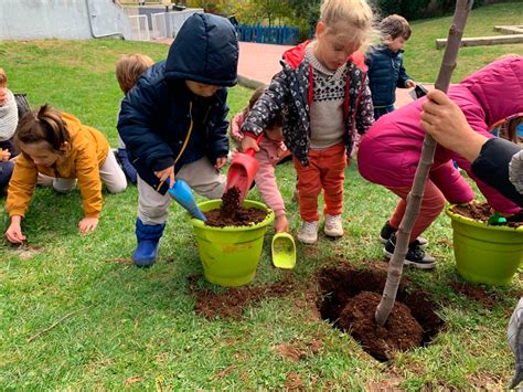 Plantar Un árbol Plantar Una Vida Montessori Village