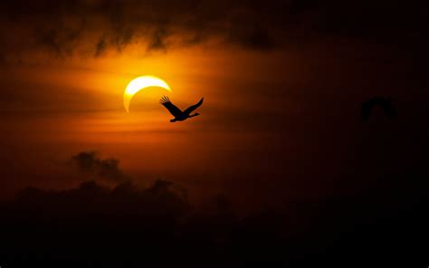 Solar Eclipse 4k Ultra Hd Wallpaper And Background Image 3840x2400