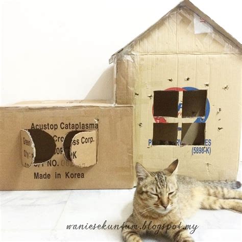 Kucing menyukai permukaan yang lembut. WanieSamani's Blog: DIY Rumah Kotak Untuk Kucing