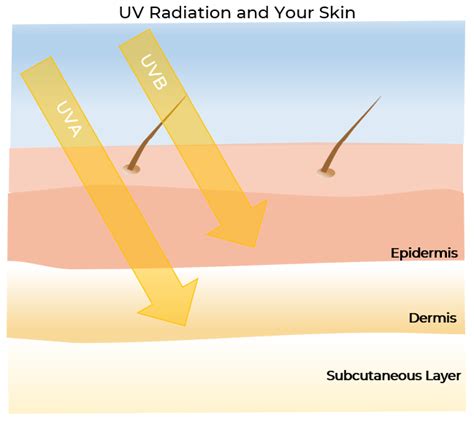 How Does Sunscreen Work