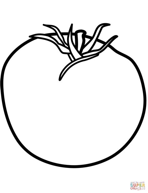 Tomato Coloring Page Printable Coloring Pages