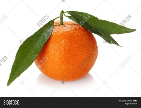 Orange Isolated On Image And Photo Free Trial Bigstock