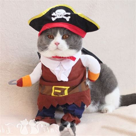 Pet Clothes Cat Funny Cat Costume Cat Dress Clothing Cat