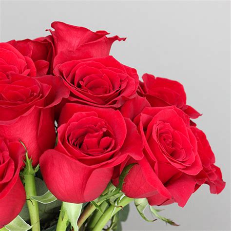 Freedom Red Roses For Valentines Day