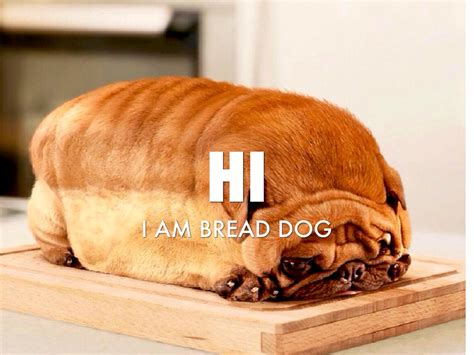 Bread Dog By Matt Hew