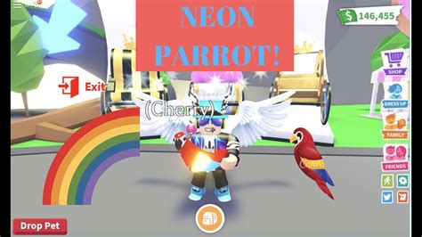 Neon Parrot In Adopt Mefinally Youtube