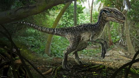Jurasicworldblueraptorfullbody Jurassic Pedia