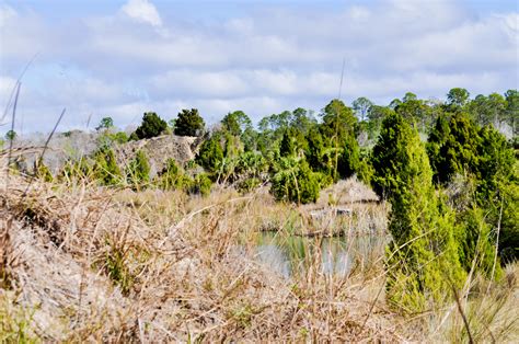 Weeki Wachee Preserve Pictures Homes Of Hernando