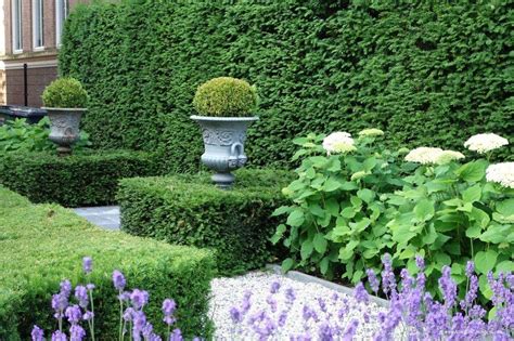 23 Front Garden Hedge Ideas You Gonna Love Sharonsable