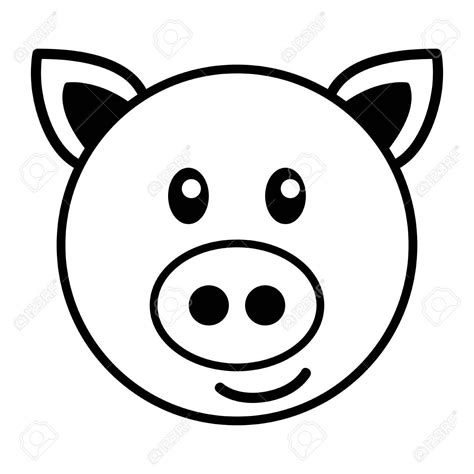 How To Draw A Pigs Face At How To Draw