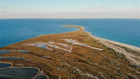 Kherson Region Uninhabited Island Pink Lakes Wild Nature