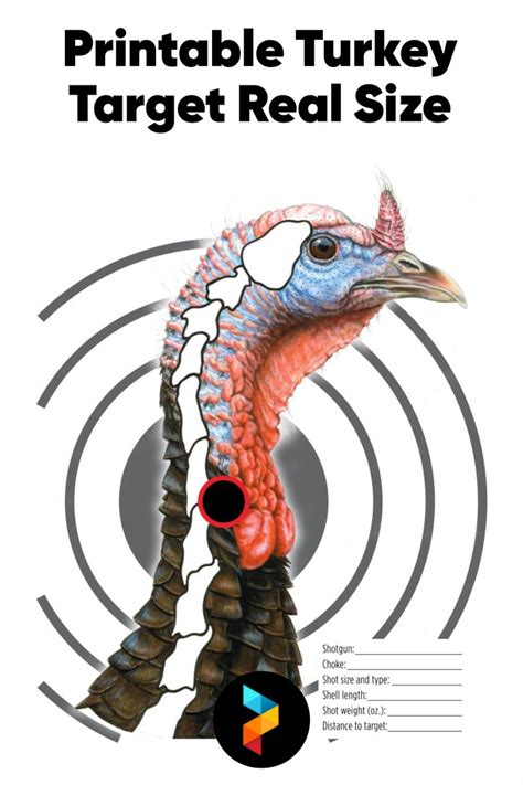 Printable Turkey Targets For Perfect Archery And Shotgun Practice