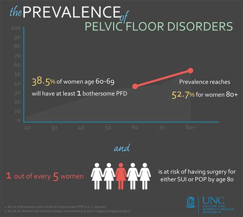 What Are Pelvic Floor Disorders Center For Womens Health Research
