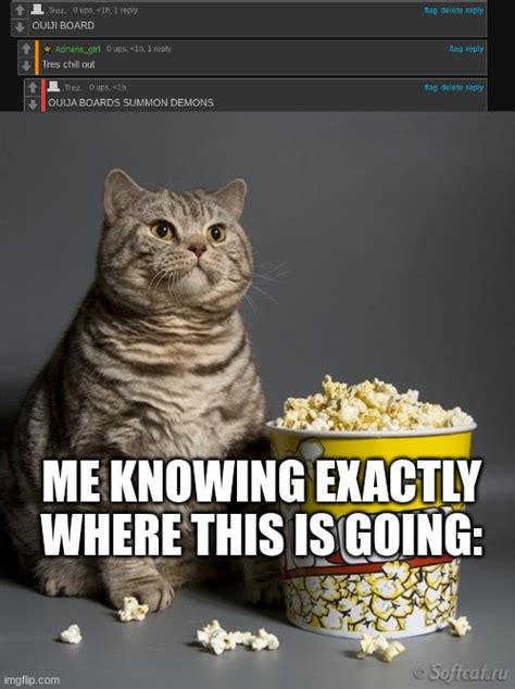 Image Tagged In Cat Eating Popcorn Imgflip