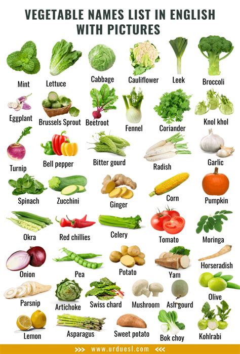 52 Vegetable Names In English With Pictures Download Pdf