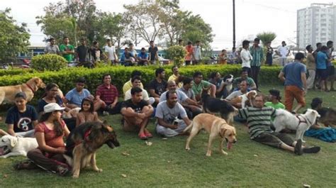 Indias First Ever Certified ‘dog Park Comes Up In Hyderabad