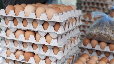Food Lion Parent Adopts Cage Free Egg Policy Charlotte Business Journal