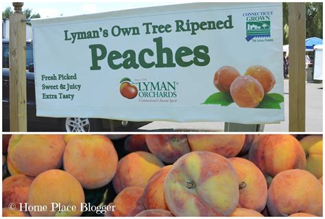 Home Place Peachfest At Lyman Orchards