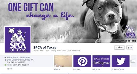Find opening hours and closing hours from the pet adoption category in dallas, tx and other contact details such as address, phone number, website. Spca Dallas Tx Dogs