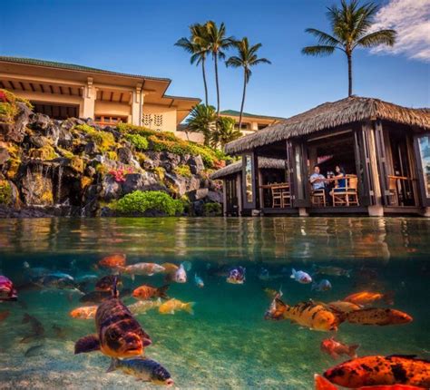 Kauai Restaurants Kauai Hotels Kauai Resorts Romantic Restaurant