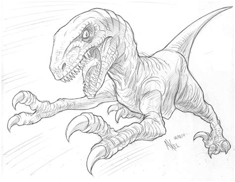 Dibujos De Raptor Para Colorear