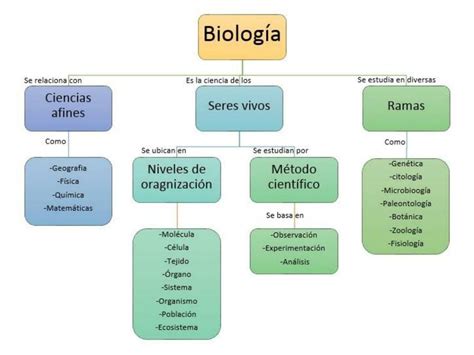 Mapa Conceptual De Las Ramas De La Biología Udocz
