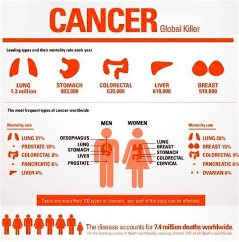 Main Types Of Cancer