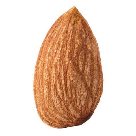 Single Of Almond Nut 12596340 Png