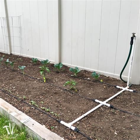 How To Install A Drip Watering System For The Garden