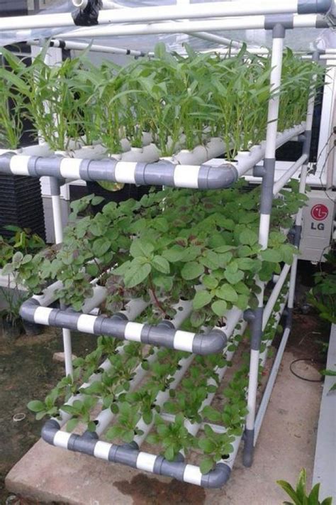 Best plants to grow using hydroponics. Wonderful To Try Hydroponic Gardening For Beginners Design ...