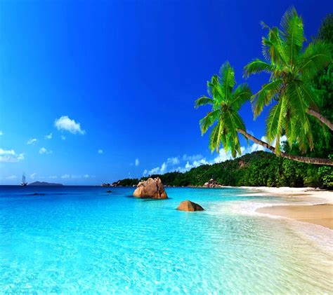 Tropical Paradise Wallpapers Top Những Hình Ảnh Đẹp