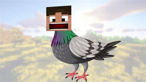 Minecraft Pigeon Minecraft Pigeon Youtube