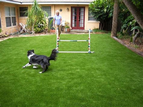 Hundegerechter Garten – So machen Sie Ihren Hund glücklich!