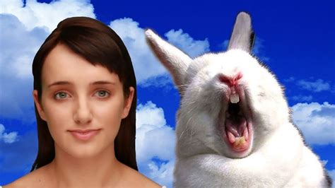 my rabbit died jacksepticeye wiki fandom