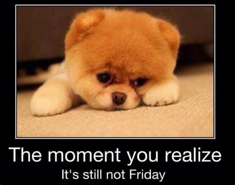 The Moment You Realize Its Still Not Friday Day Thursday Quotes Almost