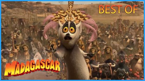 Dreamworks Madagascar The Lemur Best Of Madagascar Movie Clip Youtube