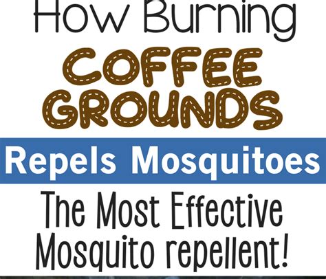 Diy Home Decor Diy Natural Mosquito Repellent How To Burn Coffee