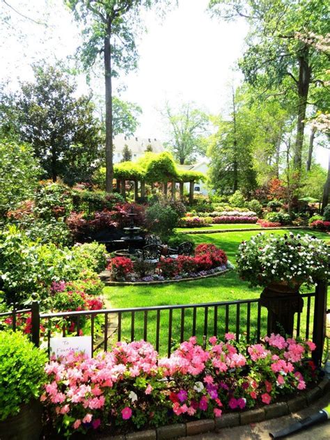 Bakery — tyler, smith county, texas, united states, found 43 companies. 58 best Azaleas & Roses images on Pinterest | Gardens ...