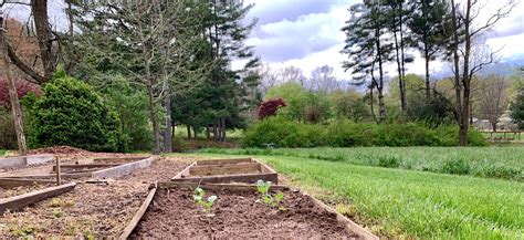 15 Early Spring Vegetable Garden Ideas You Cannot Miss Sharonsable