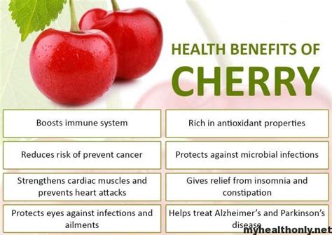 10 Impressive Health Benifits Of Cherry My Health Only